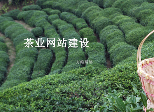 茶业网站建设